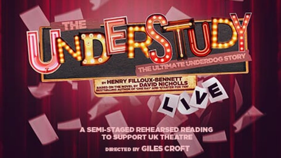 THE UNDERSTUDY - Gallery Thumbnail 2