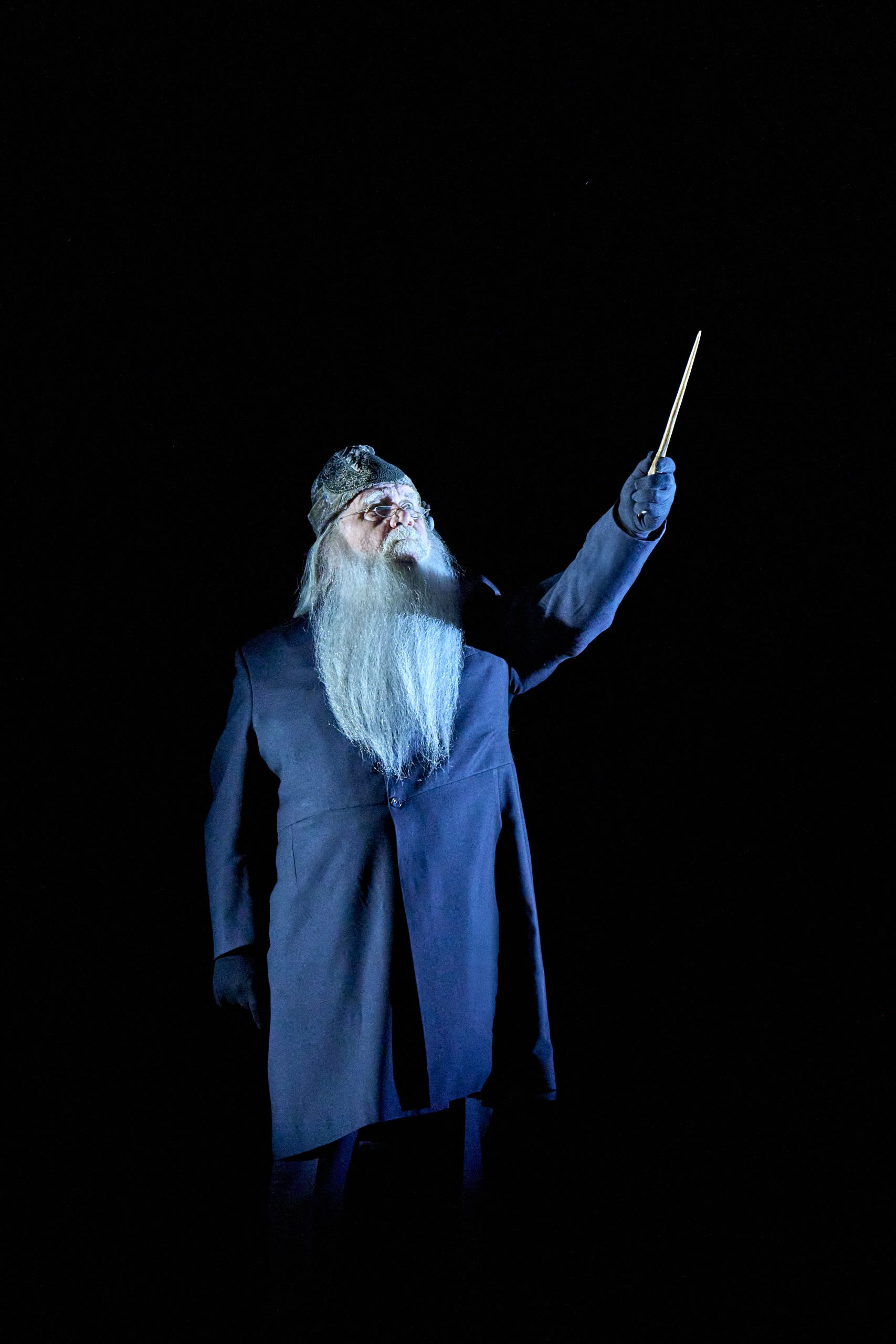 Harry Potter and the Cursed Child - Professor Dumbledore