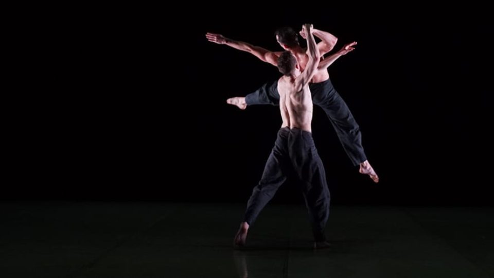 THEM/US - Gallery Thumbnail 4