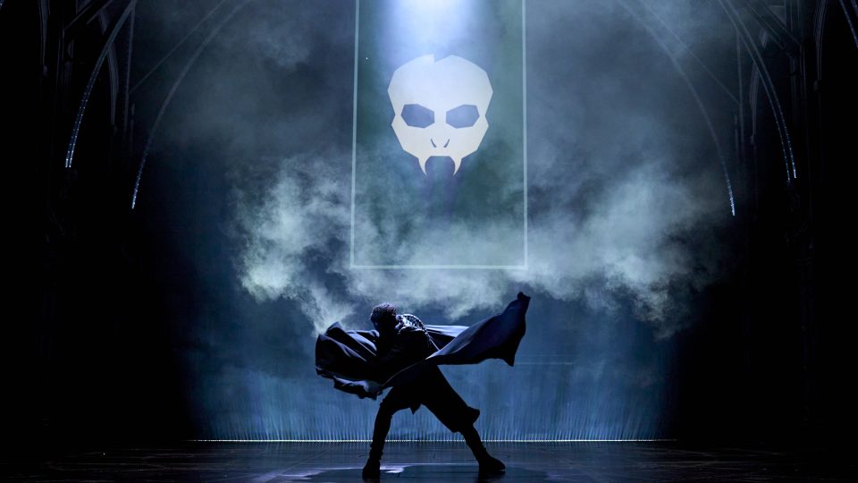 Harry Potter and the Cursed Child - Gallery Thumbnail 4