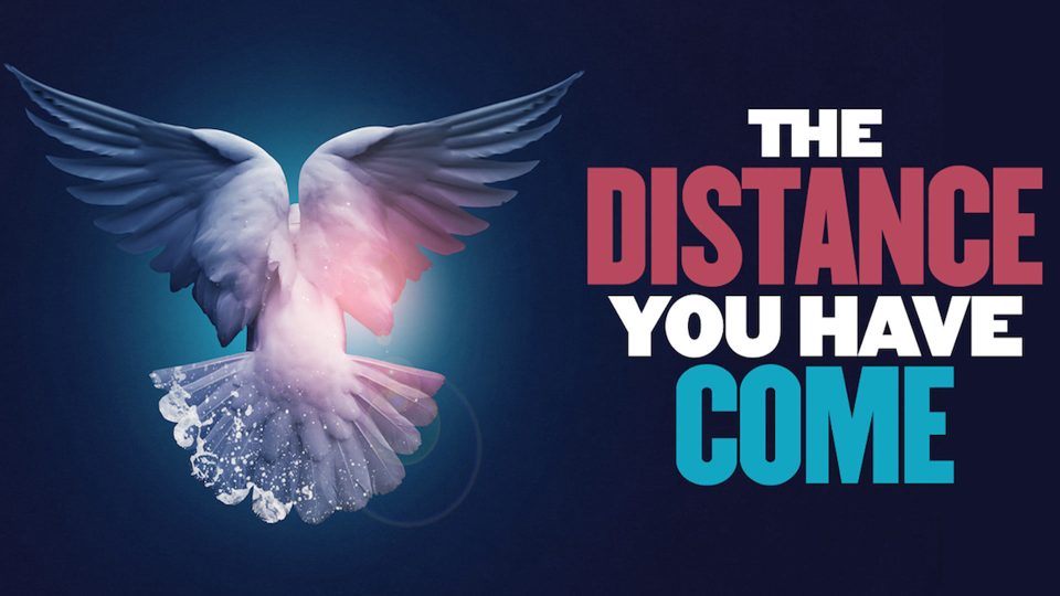 A white bird with large wings is set against a dark blue background.