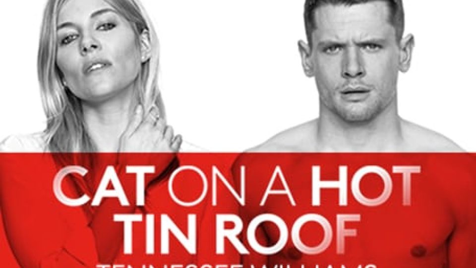 Cat on a Hot Tin Roof - Gallery Thumbnail 2