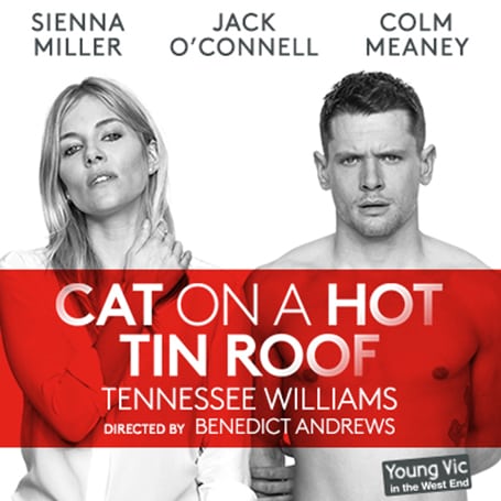 Cat on a Hot Tin Roof Show Page Image