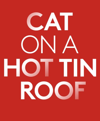 Cat on a Hot Tin Roof Home Page Image