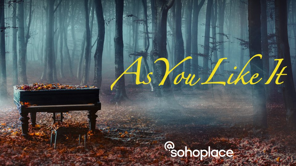 A grand piano covered in autumn leaves, set in a misty forest.