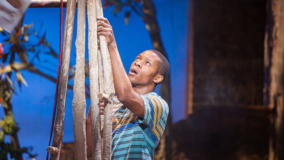 The Boy Who Harnessed the Wind - Gallery Thumbnail 4