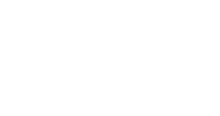 The Spy Who Came In From The Cold