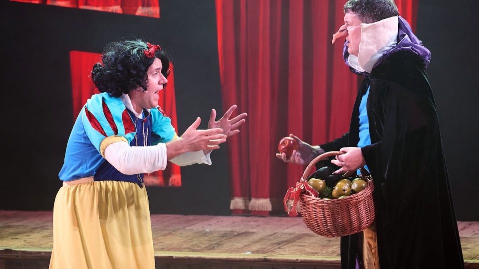 Potted Panto - Gallery Thumbnail 4